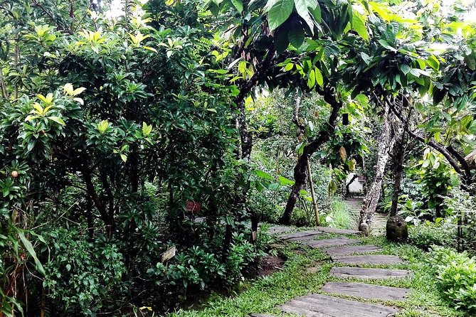 Bali in 1-Day : Rice Terrace, Volcano, Tanah lot - All Inclusive - Batuan Temple and a first look at Balinese Hinduism