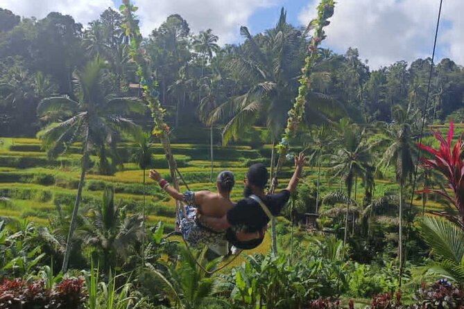 Bali in 1-Day : Rice Terrace, Volcano, Tanah lot - All Inclusive - Choosing an art village without pressure