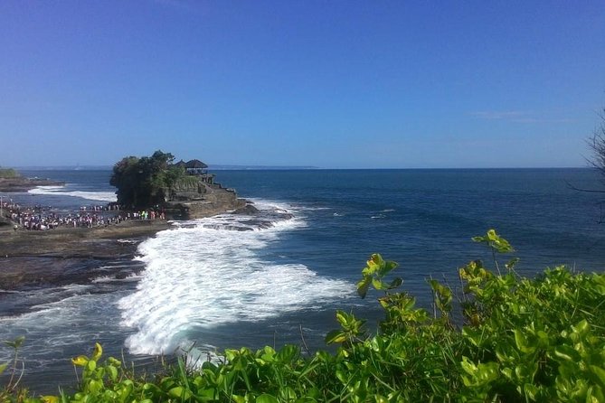 Bali in 1-Day : Rice Terrace, Volcano, Tanah lot - All Inclusive - Tegalalang Rice Terrace and the lunch break