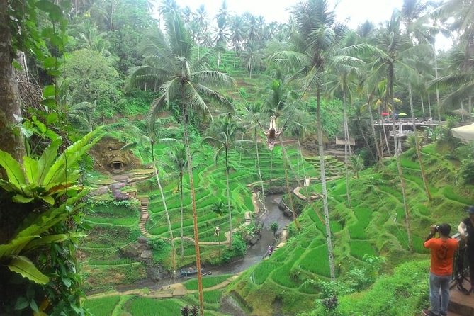 Bali in 1-Day : Rice Terrace, Volcano, Tanah lot - All Inclusive - Uma Pakel coffee and plantation stop