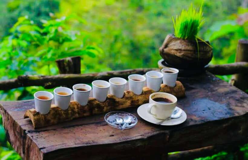 Bali: Mount Batur Sunrise Jeep and Black Lava With Breakfast - Key points to know before booking