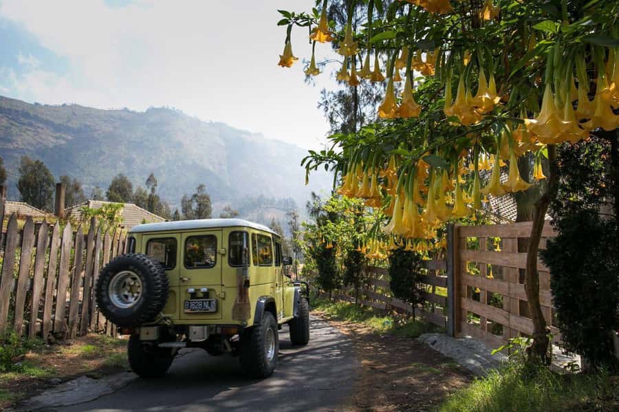 Bali: Mount Bromo and Kawah Ijen 3-Day Volcanic Trip - Why this Java volcano trip is worth your time