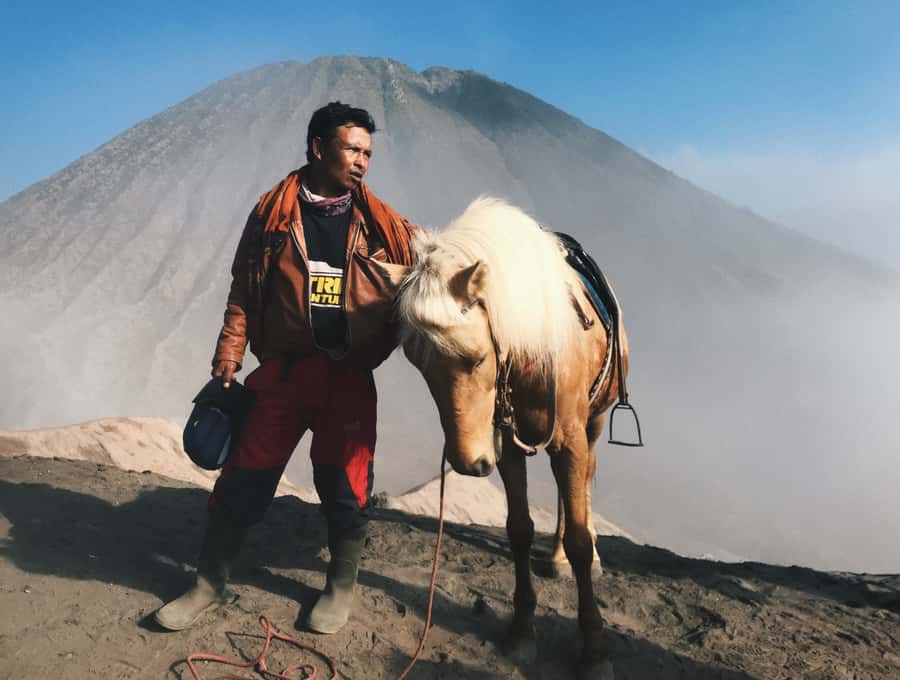 Bali: Mount Bromo and Kawah Ijen 3-Day Volcanic Trip - Day one: Leaving Bali for Mount Bromo
