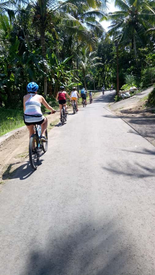 Bali Natural Downhill Cycling Tour and visit Batur Volcano - Why this tour offers more than a bike ride