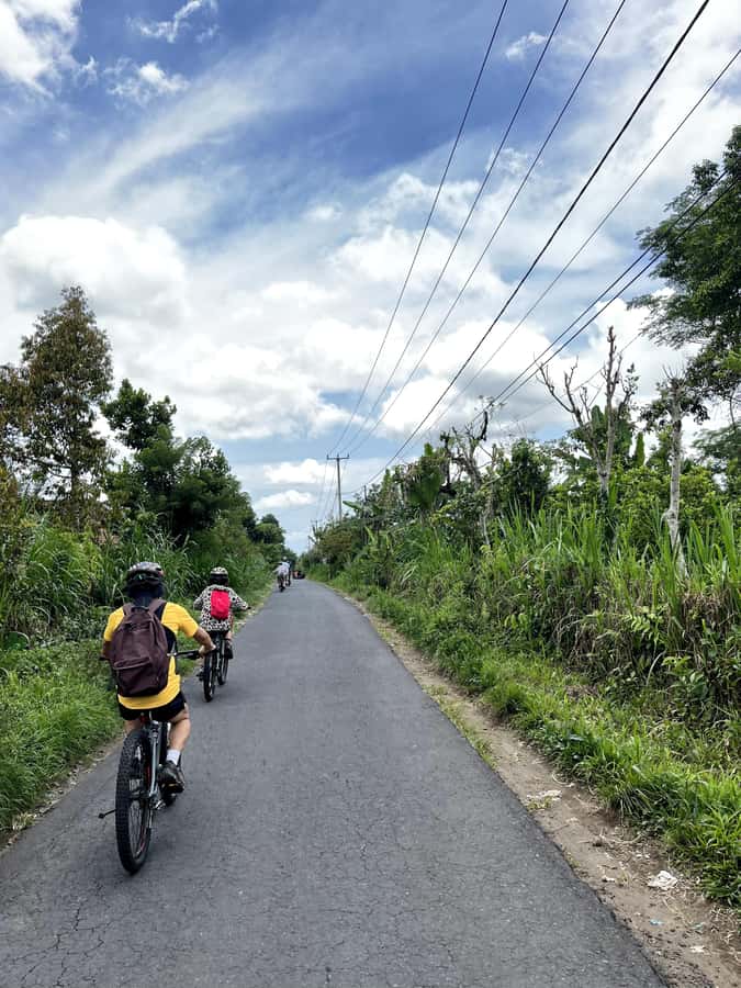 Bali Natural Downhill Cycling Tour and visit Batur Volcano - Lunch overlooking rice fields