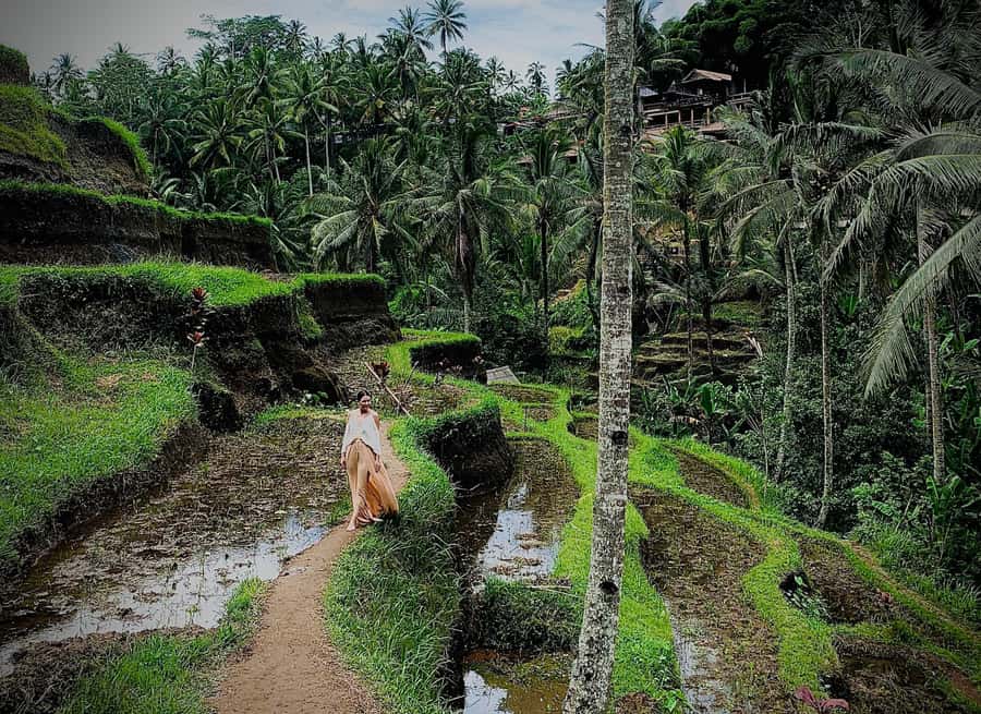 Bali: Rice Terrace & Volcano Tour with Penglipuran Village - FAQ