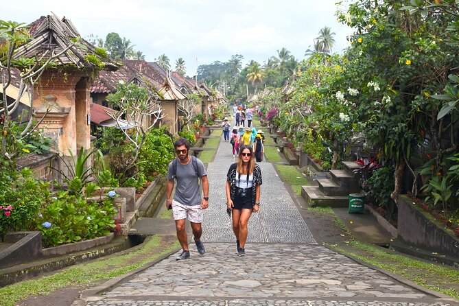 Bali Tour: Village, Volcano, Holy Spring Temple, Waterfall Tour - Penglipuran Village: order, tradition, and a careful visit