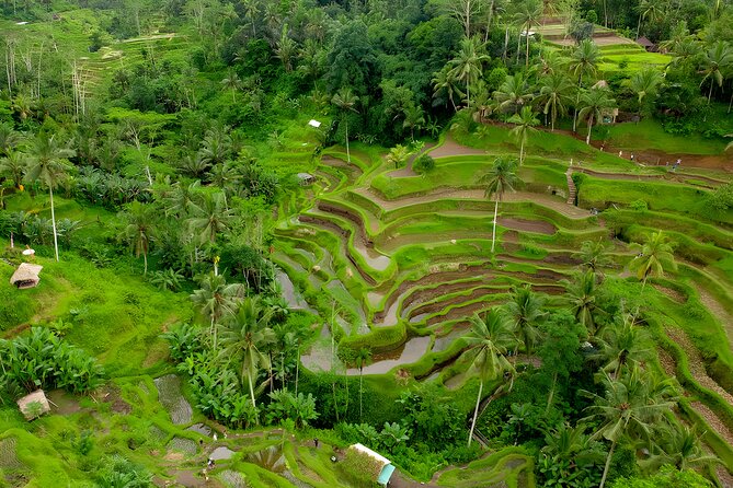 Bali Tour: Village, Volcano, Holy Spring Temple, Waterfall Tour - The private car and guide make the difference
