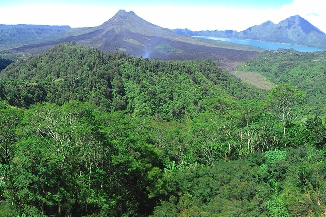 Bali Ubud & Kintamani Volcano Tour -All Inclusive - What this Ubud and Kintamani day actually gives you