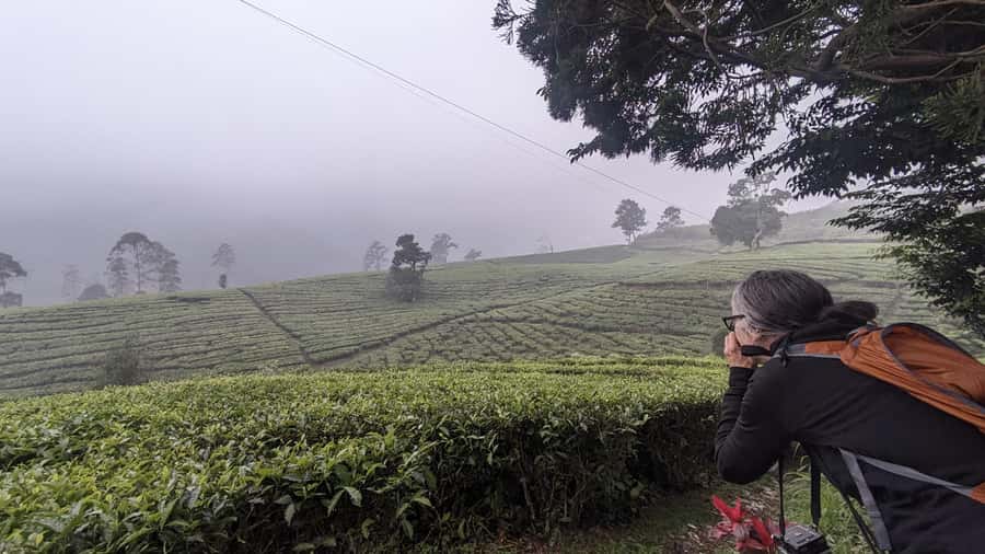 Bandung: Tangkuban Parahu Volcano, Waterfall & Culture Tour - What this Bandung day tour is really like