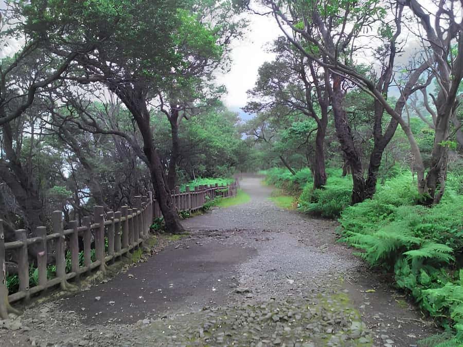 Bandung Tangkuban Perahu Volcano Tours - What the $70 price really covers