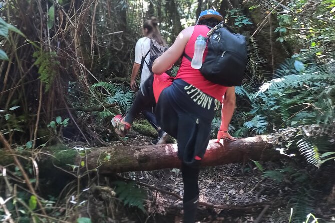 Bandung Tour Volcano, Hotsprings, Mud, Tea, Lunch all Included - Who should book this experience?