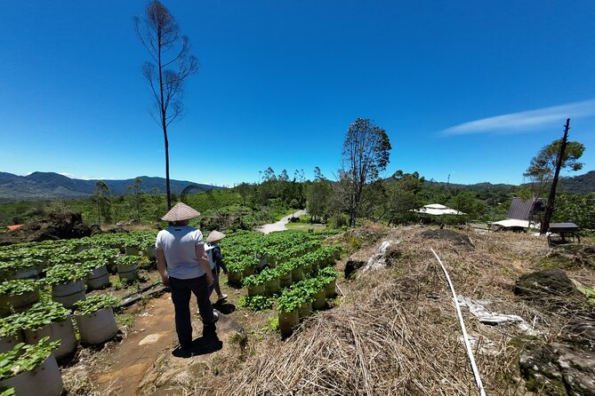 Bandung Volcano Sightseeing and Hot Spring Private Tour - White Crater, where the volcanic ground takes center stage