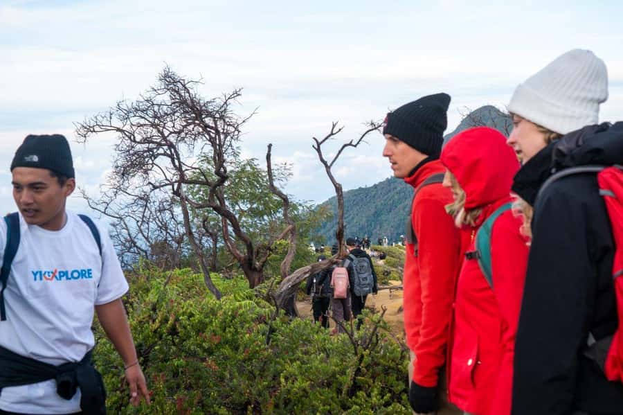 Banyuwangi/Bali: Ijen Crater Blue Fire & Sunrise Guided Tour - Guides who add more than directions