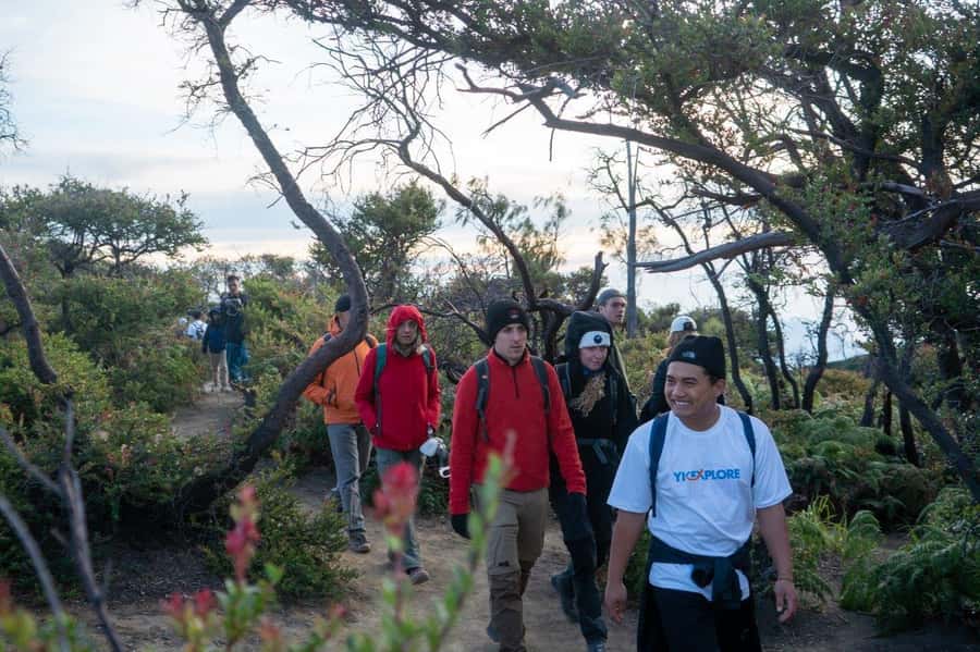Banyuwangi/Bali: Ijen Crater Blue Fire & Sunrise Guided Tour - What the $27 price really covers