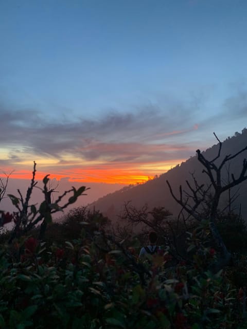 Banyuwangi/Bali: Ijen Volcano Midnight Blue Fire Guided Tour - Sunrise, tea, and the crater lake