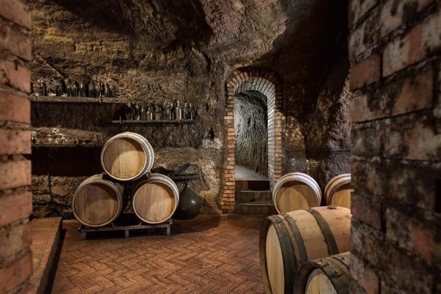 Basilicata: Discover volcanic tuff caves and taste excellent Lucanian wines - Key points to know before booking
