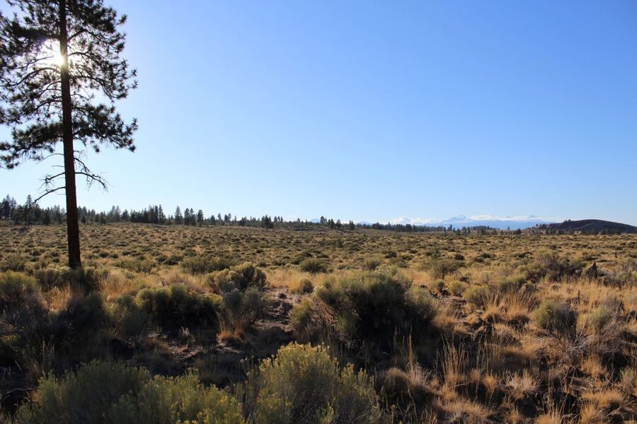 Bend: Half-Day Lava Tube Cave Tour - Practical details that make the day easier