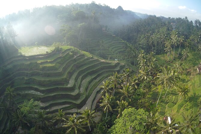 Best Bali Private Full Day Tour to Visit Ubud Village - Kintamani Batur Volcano - What this private Bali day is really designed to do
