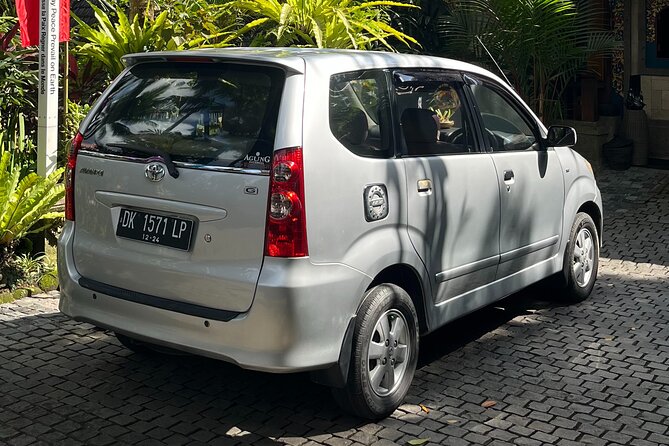 Best Bali Private Full Day Tour to Visit Ubud Village - Kintamani Batur Volcano - Tegallalang Rice Terrace in 30 minutes