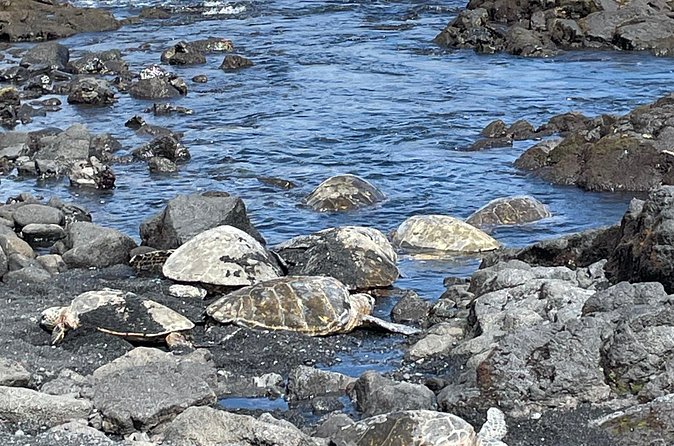 Best of Big Island: Volcanoes, Waterfall, Blacksand Beach & Lunch - Lunch gives the volcano stop a local flavor