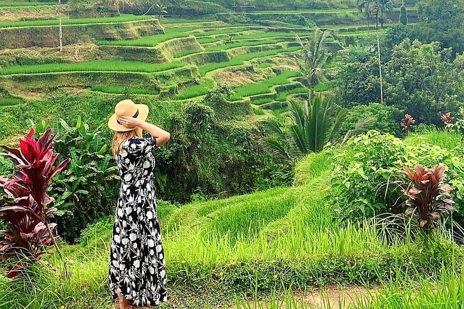 Best of Ubud - Kintamani Volcano View - Private Tour - Starting with macaques at the Sacred Monkey Forest