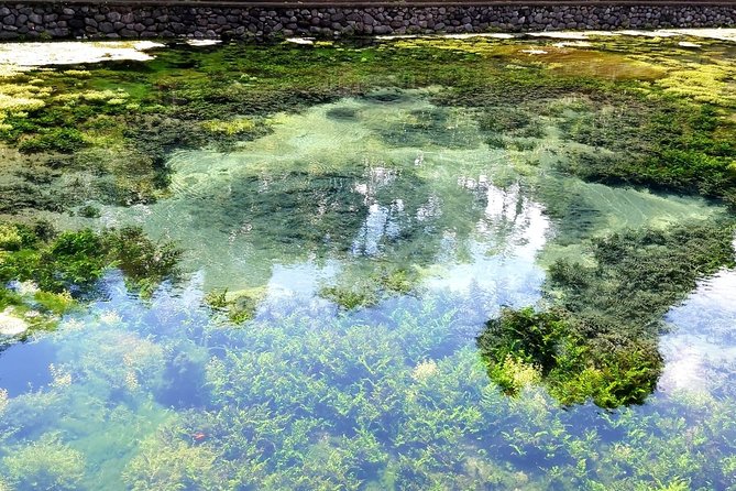 Best of Ubud - Kintamani Volcano View - Private Tour - A driver-guide can make or break the day