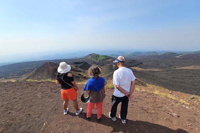 Best Shore Excursion Etna, Taormina, Messina With Tasting Of Sicilian Products - Who should choose this Sicilian shore excursion?