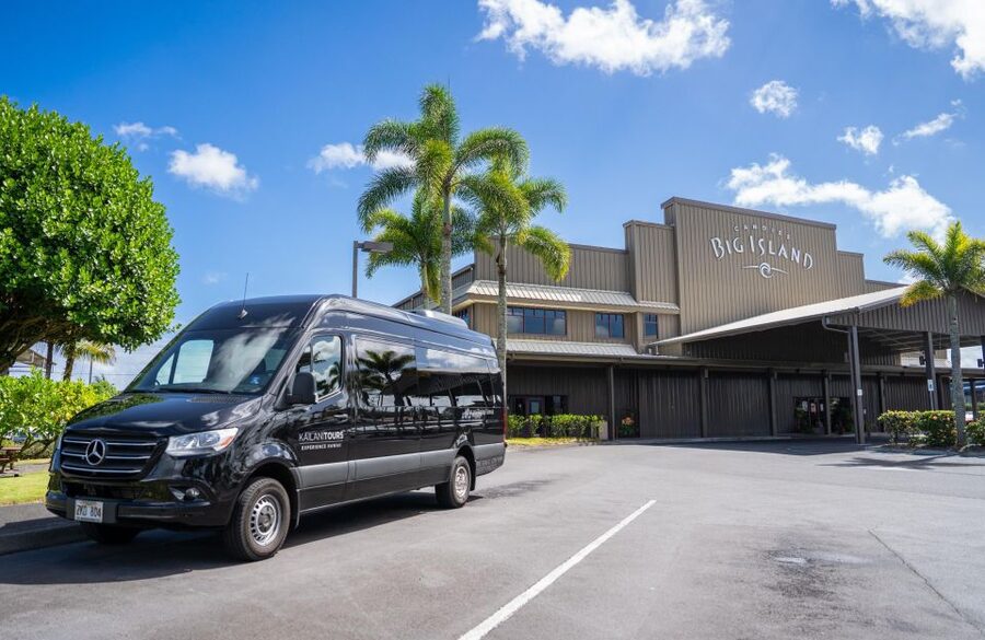 Big Island: Coffee, Black Sand, Volcano and Waterfall Tour - Lunch, wine, and tea at Volcano Winery