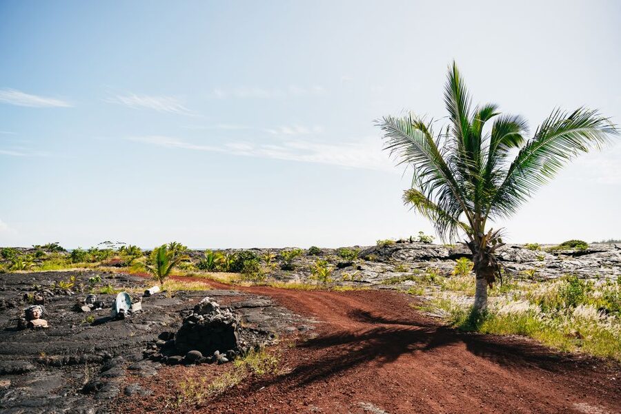 Big Island: Evening Volcano Explorer from Hilo - Who should book this Hilo volcano tour?