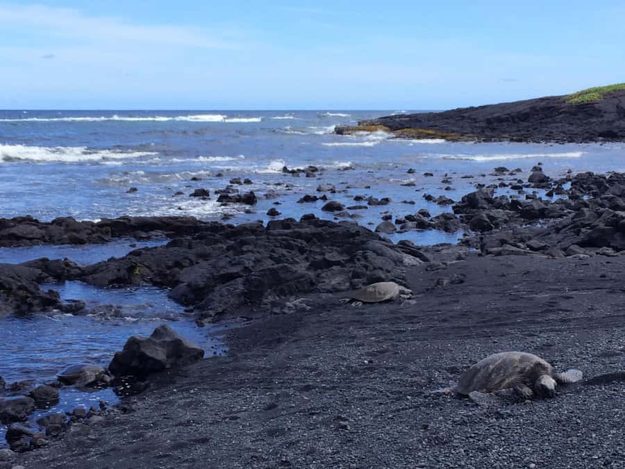 Big Island: Evening Volcano Explorer From Kona or Kohala - Walking Punaluʻu Black Sand Beach