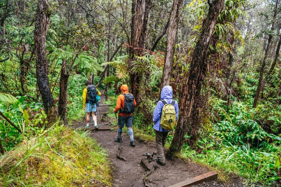 Big Island: Hawai'i Volcanoes National Park Guided Hike - Should you book the Hawaii Volcanoes hike?