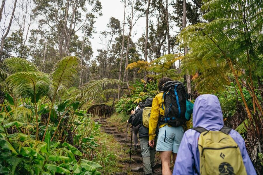 Big Island: Hawai'i Volcanoes National Park Guided Hike - Walking through the native Hawaiian forest