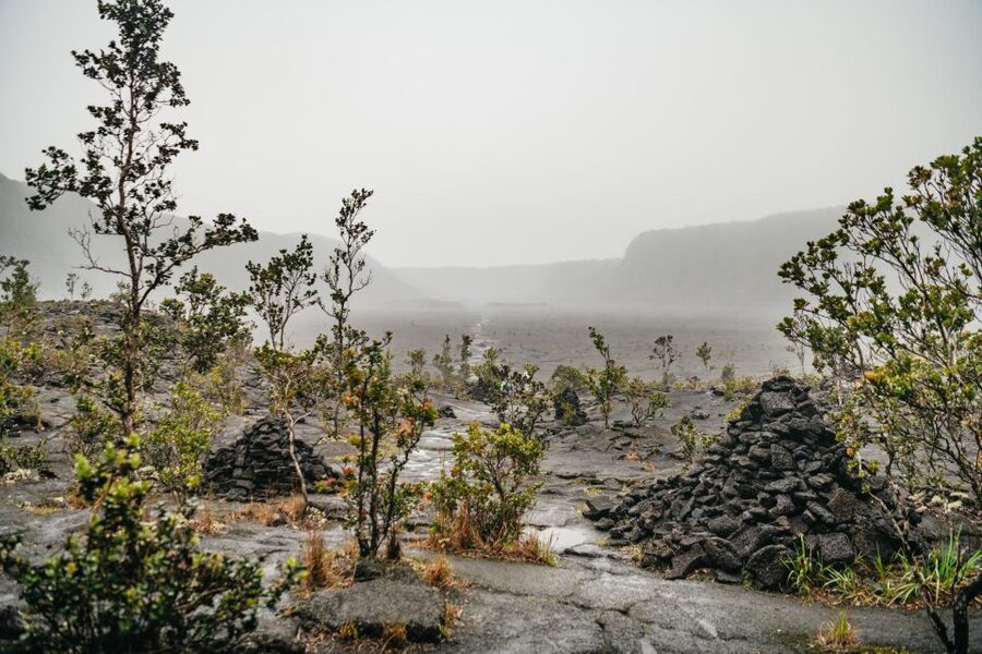 Big Island: Hawai'i Volcanoes National Park Guided Hike - Entering Thurston Lava Tube
