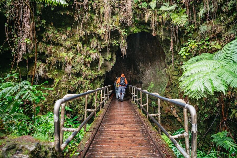 Big Island: Hawai'i Volcanoes National Park Guided Hike - Starting at Kilauea Visitor Center