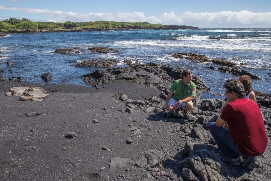 Big Island, Hawaii: Volcano and Stargazing Tour with Dinner - Guides are a major part of the value