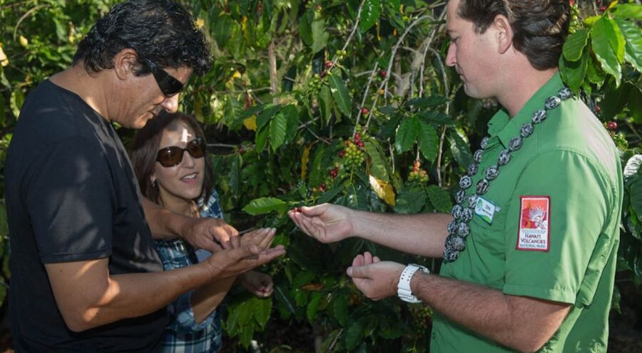 Big Island, Hawaii: Volcano and Stargazing Tour with Dinner - Is $297 a good value?