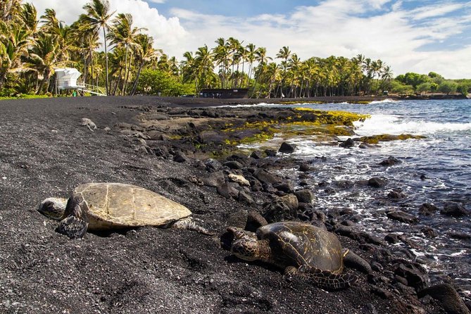 Big Island Highlights: Coffee, Volcano, Black Sands & Waterfall - Five things to know before booking