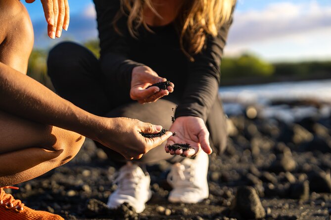 Big Island Highlights: Coffee, Volcano, Black Sands & Waterfall - Hawaiʻi Volcanoes National Park and the Thurston Lava Tube