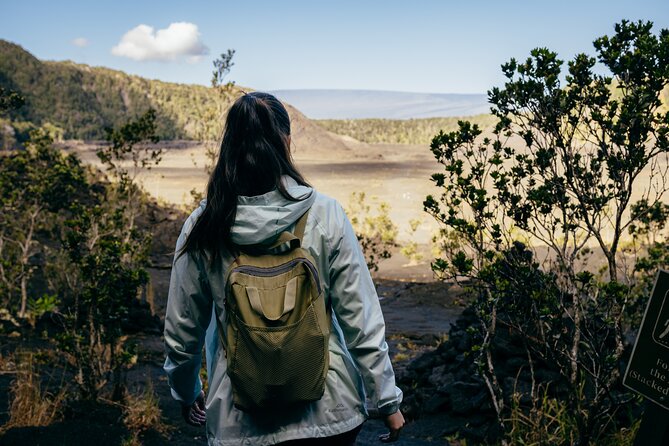 Big Island Highlights: Coffee, Volcano, Black Sands & Waterfall - Greenwell Farms and the Kona coffee stop