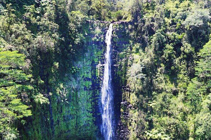 Big Island in a Day-Explore Volcanoes, Waterfalls, Beaches & more - Rainbow Falls: a quick Hilo viewpoint
