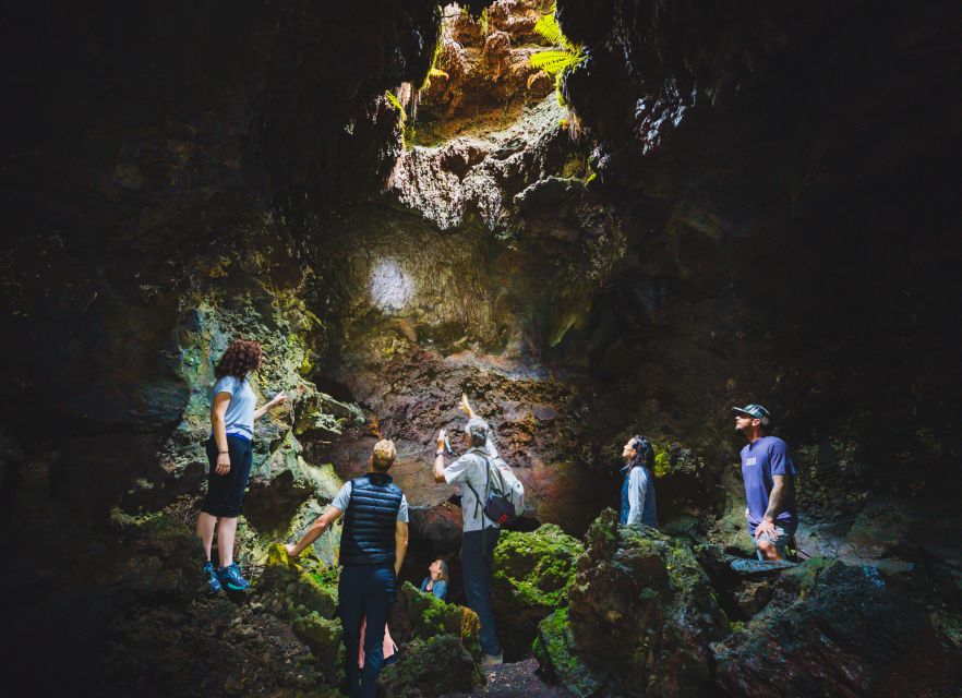 Big Island: Off the Beaten Path Volcano Crater Hike - Five things to know before you book