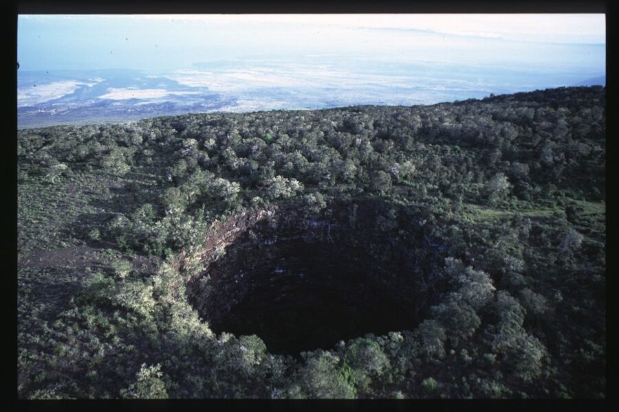 Big Island: Off the Beaten Path Volcano Crater Hike - Walking through native cloud forest