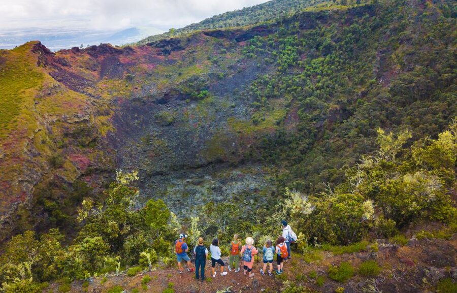 Big Island: Off the Beaten Path Volcano Crater Hike - What the guide adds to the hike