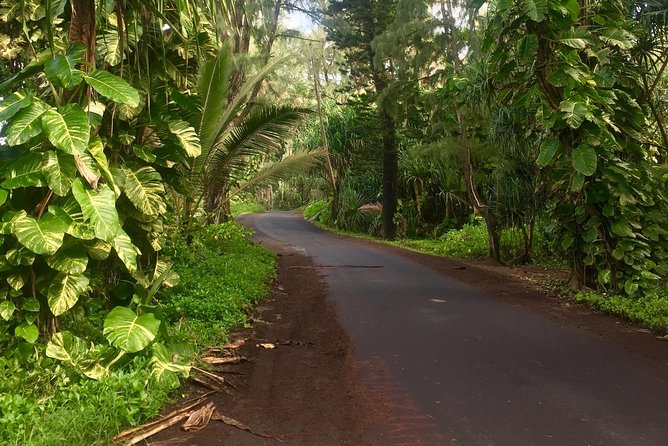 Big Island Volcano Adventure from Kona: Small Group - Hawaii Volcanoes National Park and Kilauea
