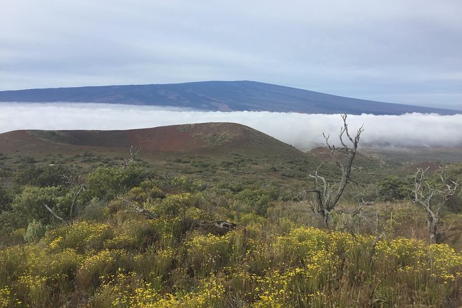 Big Island Volcano Adventure from Kona: Small Group - Lava tubes, black sand, and changing plans