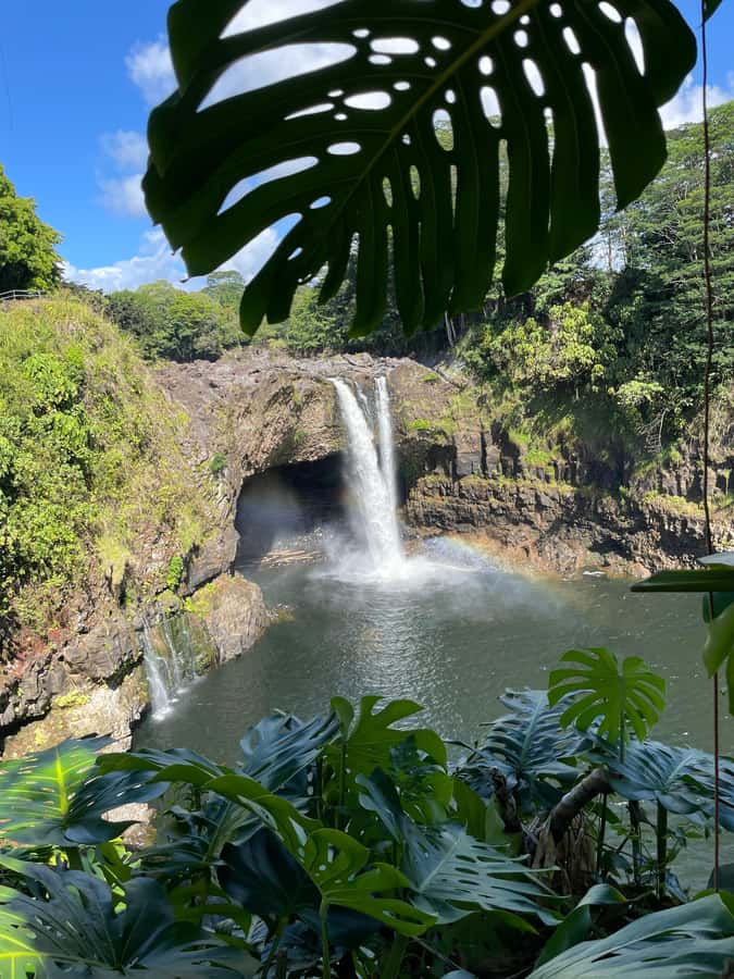 Big Island: Volcano, Black Sand Beach, Waterfall, with Lunch - Is $189 a fair price?