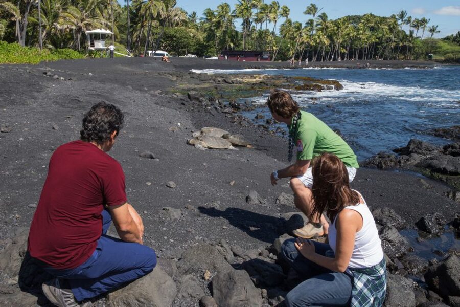 Big Island: Volcanoes, Waterfalls, & Coffee Farm Day-Trip - Key points at a glance