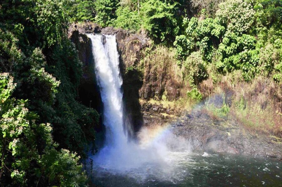 Big Island: Volcanoes, Waterfalls, & Coffee Farm Day-Trip - Akaka Falls brings you into the rainforest