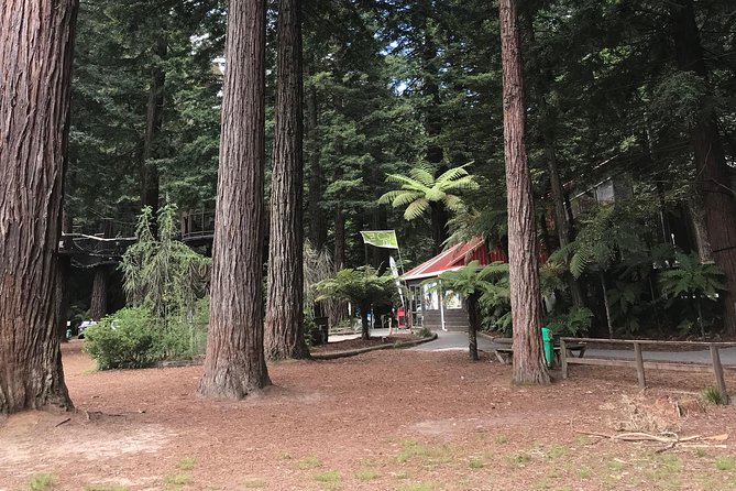 Boutique tour , Mt Maunganui, NZ farm, Rotorua lakes/geothermal - Government Gardens, Rachel’s Pool, and Kuirau Park